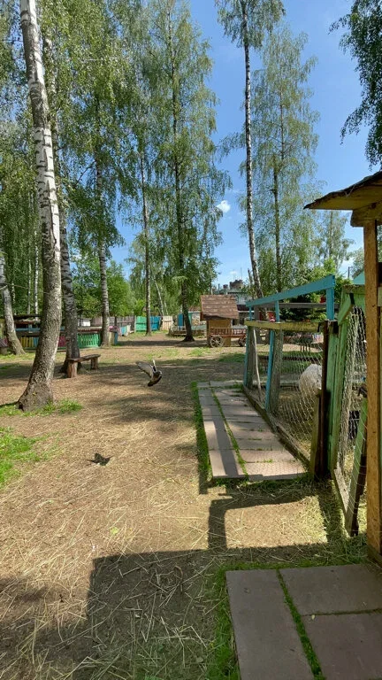 Фото Живой уголок  в ландшафтном парке "Пространство детской мечты" - развлечение в Москве | Досугатор